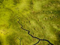 Green River Water