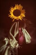 drapery still life colorful