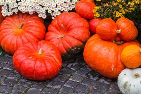 pumpkin decorations at home