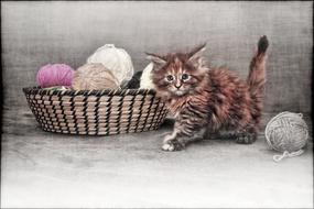 Beautiful drawing of the cute and colorful kitten among the wool balls