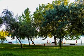 Landscape Walk Nature
