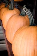 three large pumpkins