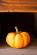 pumpkin on the floor