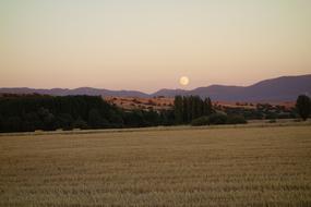 Summer Afternoon Landscape