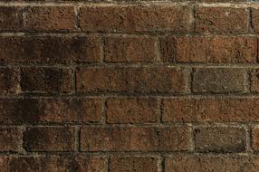 Wall Lake Dusia Brick
