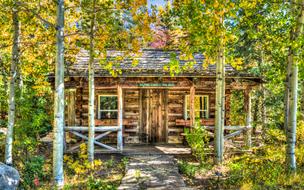 Log Cabin Nature Forest