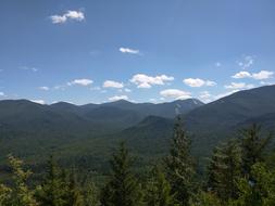 Mountain Forest Nature