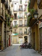 Barcelona Street Rose