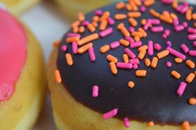 Chocolate doughnut with colored sprinkles