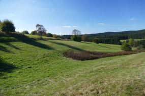 Valley Pasture Landscape