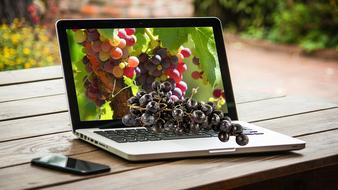 grapes fruit computer portable