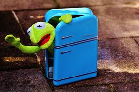 kermet toy in the refrigerator