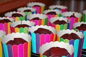 cupcakes in colorful wrappers