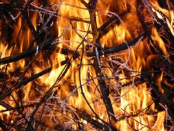 Fire Burning Hot