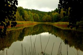 Lake Water Calm