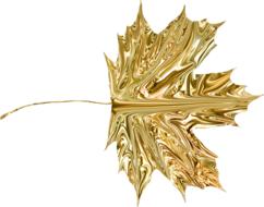 leaf gold transparent element
