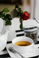 rose by the tea