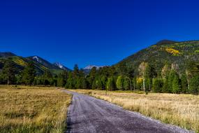 Coconino National Forest Arizona