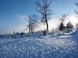 Snow Ice Winter nature Landscape