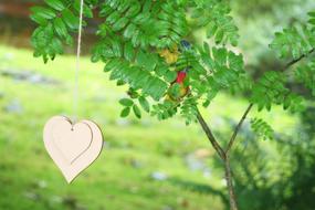 heart tree a lot