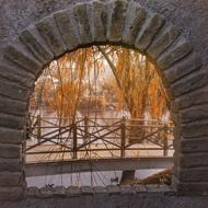 Landscape of Park bridge Nature