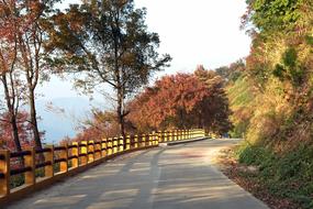 Stone Gate Autumn Maple