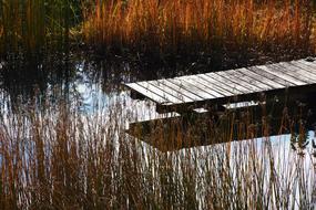 wooden bridge by the pond