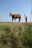 Horse Dyke Landscape