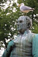 seagull on a statue in the park in a blurred background