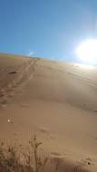 tracks on sand in desert, Namibia, Sossusvlei