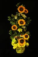 Sunflower Flower Yellow