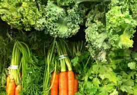 vegetables are delicious fresh