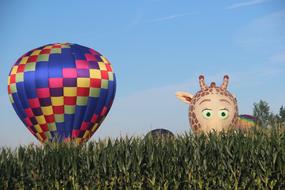 funny balloons on the field
