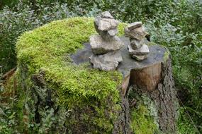 Stones on Mossy Log