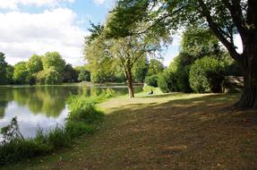 Park Pond Nature