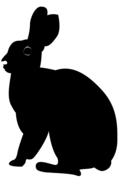 drawn black hare on a white background