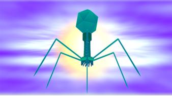 clipart of bacteriophage virus biology
