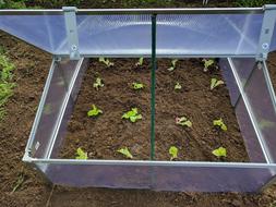 green sprout ground bed