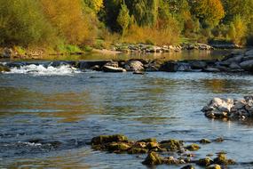 River Autumn Birs