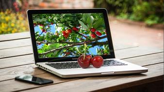 computer portable cherry fruit