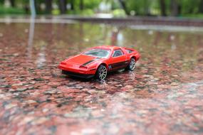 Toy Machine Dalorian