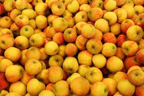 apple background