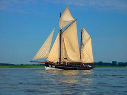 seascape with a ship and sails