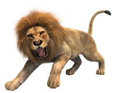 clipart of lion male