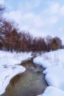 Spring River in forest