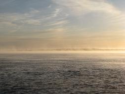 Nature Fog Landscape