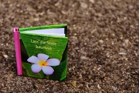 Book Greeting Card Relax