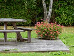 Table Flowers Resting Place