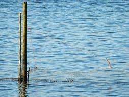 Lake Sea Water