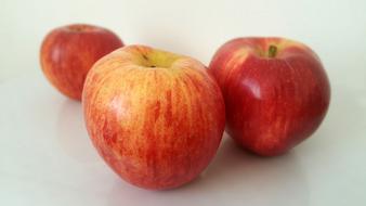 ripe apple fruits on a white background